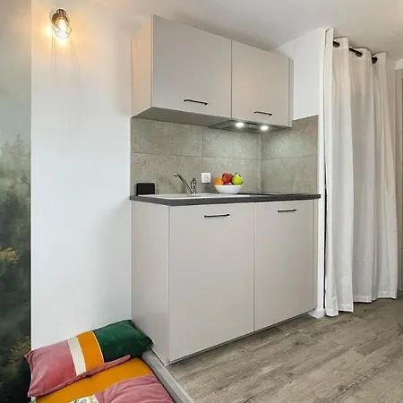 아파트 Homey - Studio Mountain Depaysement - Hyper Centre - Aux Portes De Geneve 안마스