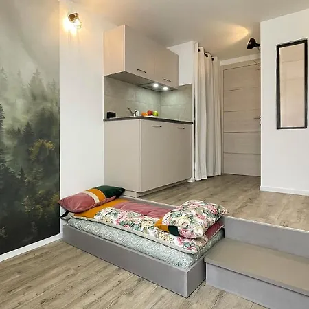 Homey - Studio Mountain Depaysement - Hyper Centre - Aux Portes De Geneve 아파트