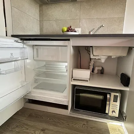 Homey - Studio Mountain Depaysement - Hyper Centre - Aux Portes De Geneve 아파트 *